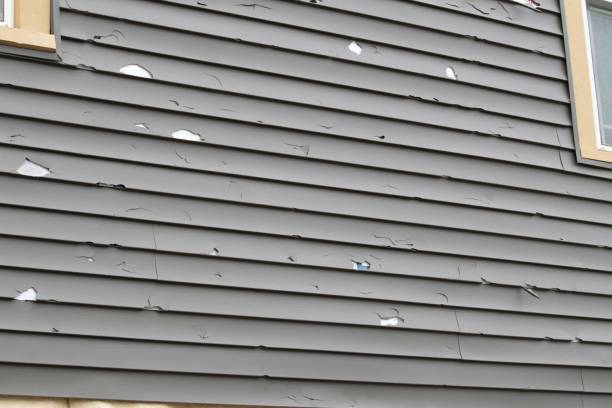 El Mirage, AZ Siding Installation & Repair Company